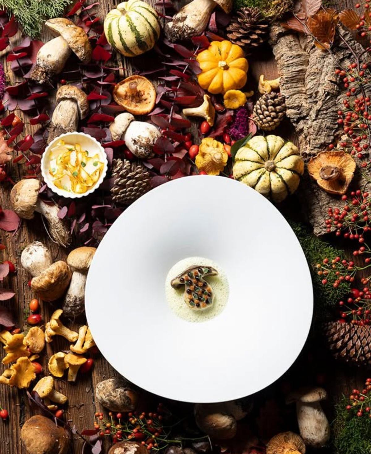 Отвъд звездите – Бъдещата трапеза