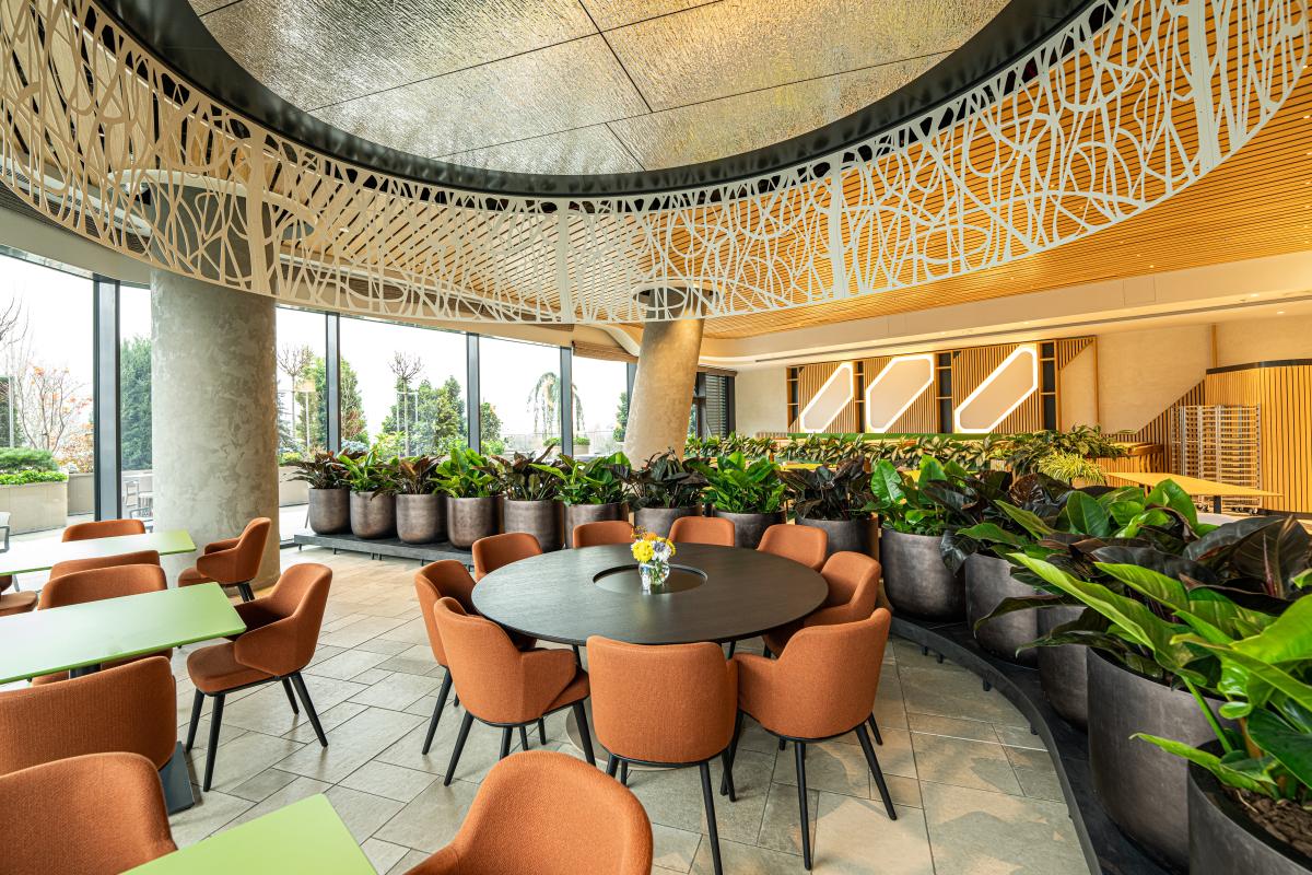 Ден на отворените врати на луксозна мултифункционална сграда с Акт 14 в кв. Дианабад - image 4