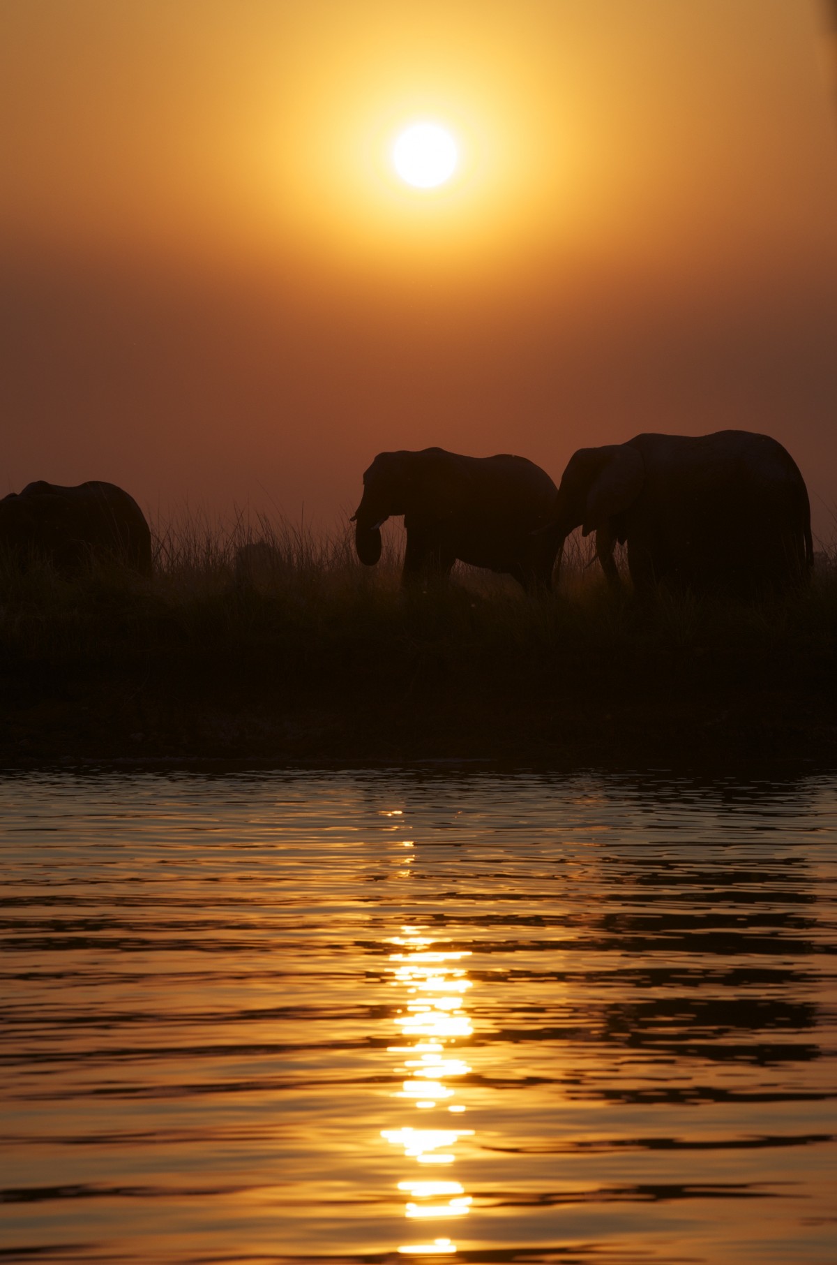 От Намибия до водопадите Виктория - eдно пътуване до Африка - image 5