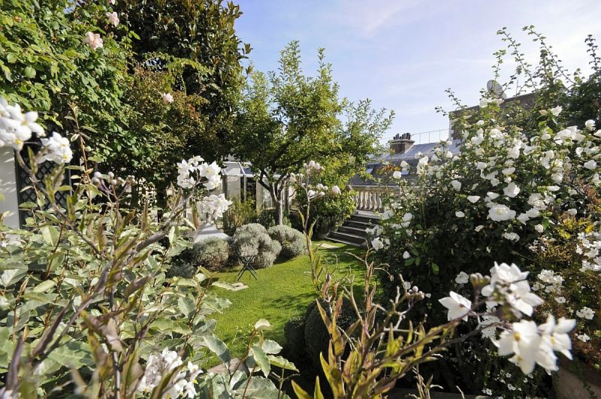 Тайната градина на един парижки покрив - image 1