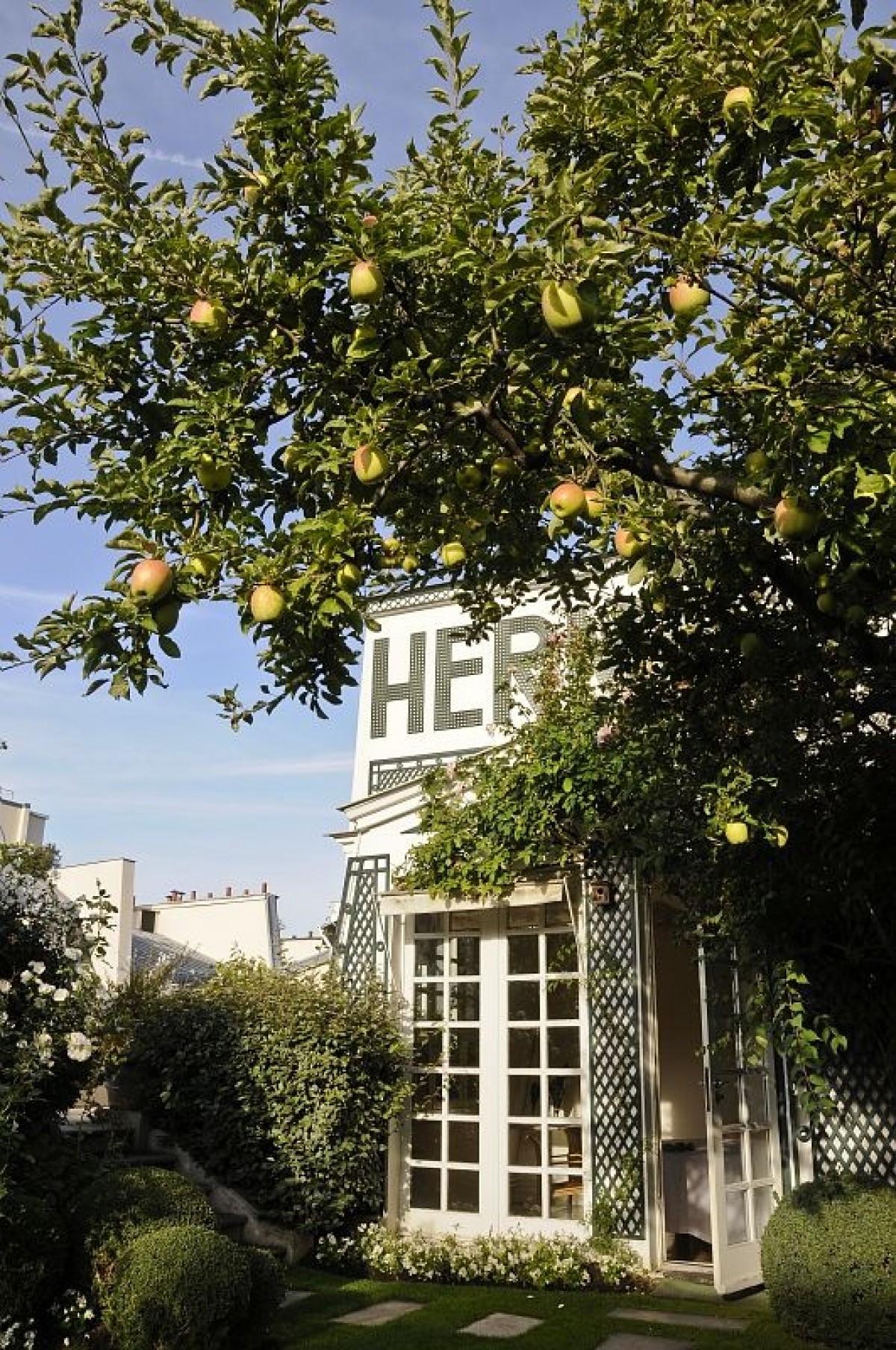 Тайната градина на един парижки покрив - image 2