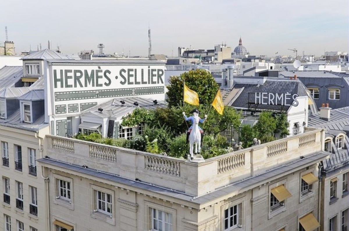 Тайната градина на един парижки покрив - image 4
