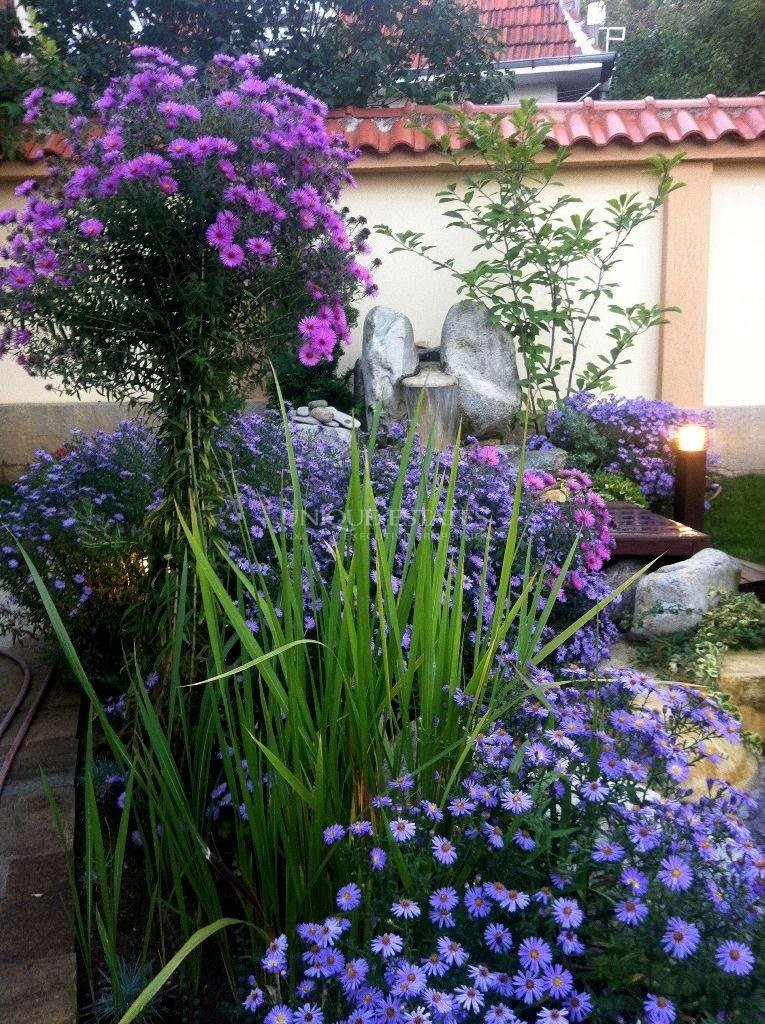 House for rent in Sofia, Boyana with listing ID: N29741 - image 13