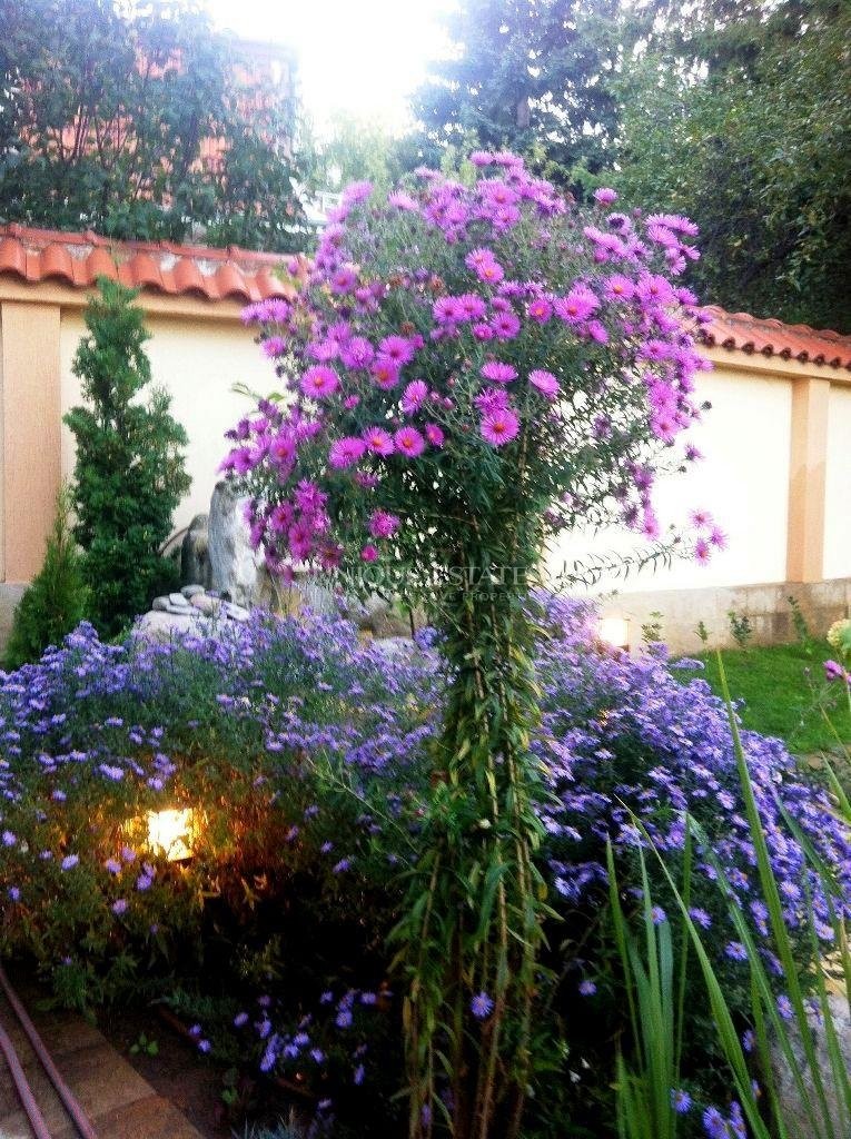 House for rent in Sofia, Boyana with listing ID: N29741 - image 12