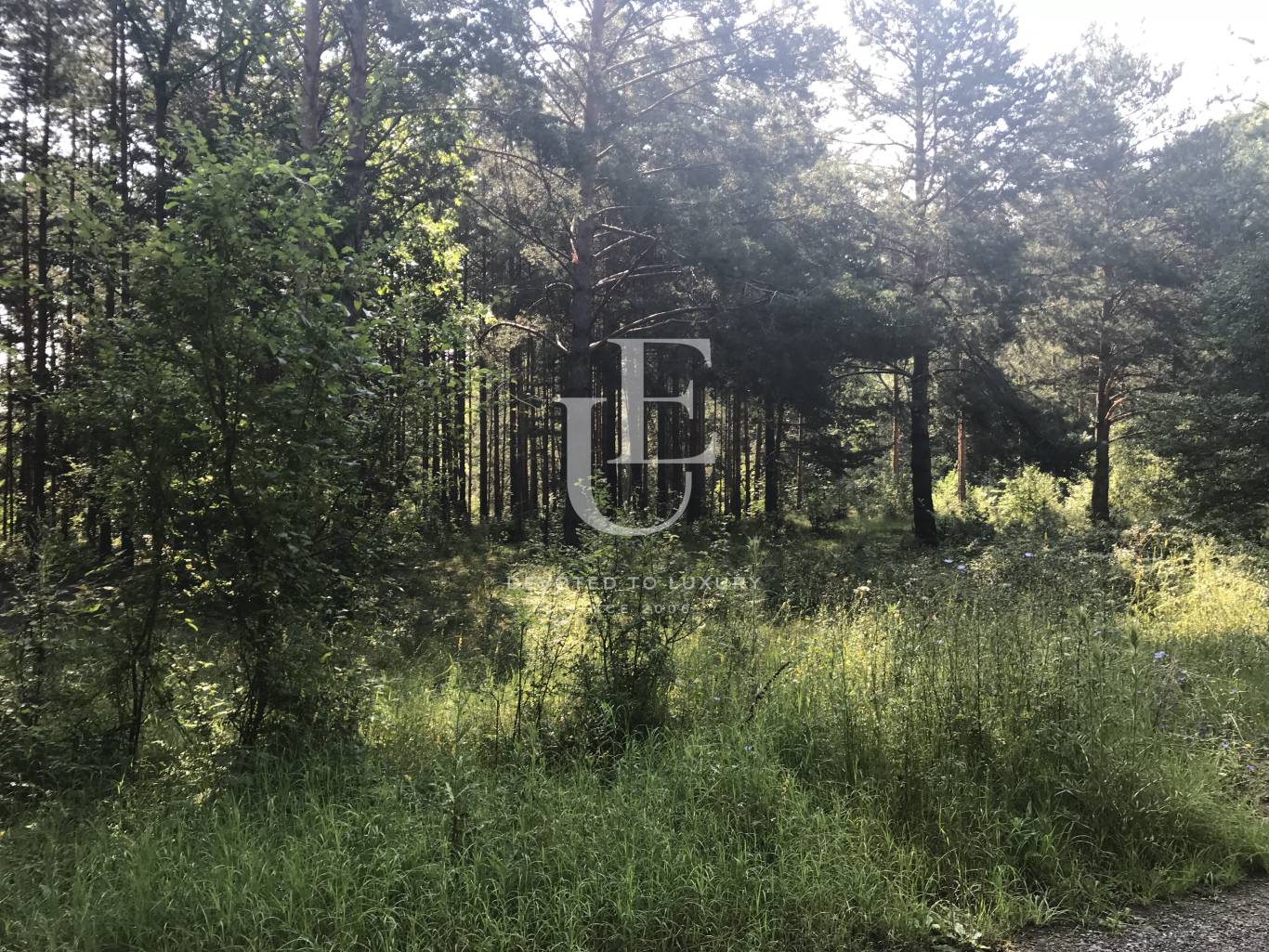 Plot for sale in Sofia, Kambanite with listing ID: K10791 - image 3