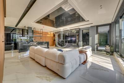 Exclusive property for rent in Boyana district