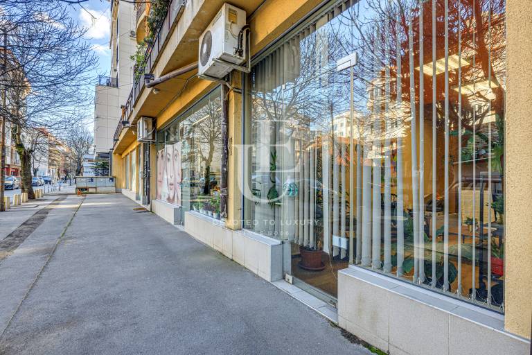 Commercial property facing Haidushka Gora Street in Strelbishte