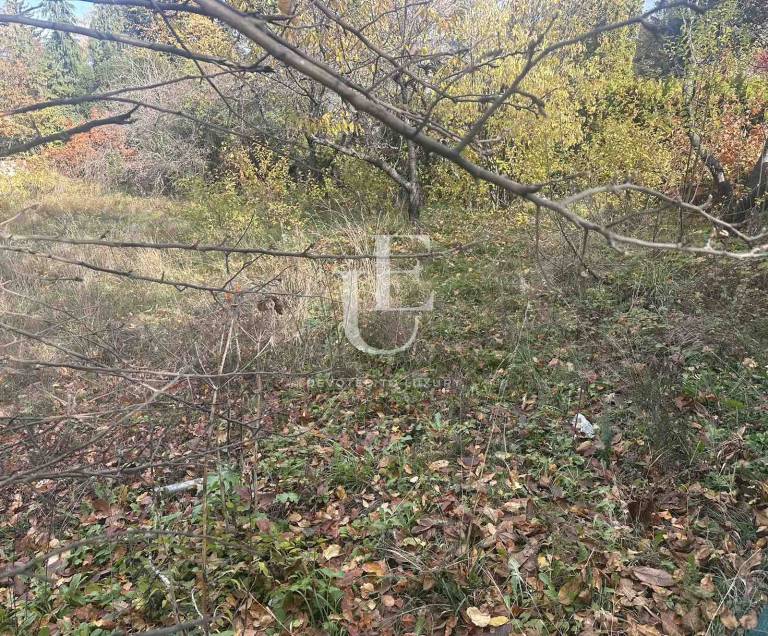 An amazing plot adjacent to a residence for Sale in Boyana