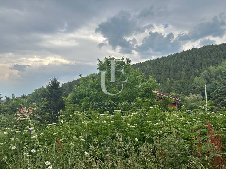 Regulated plot for a house at the foot of the mountain