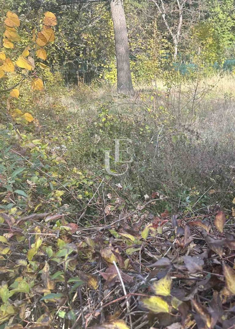 Amazing plot  next to residence for Sale in Boyana 