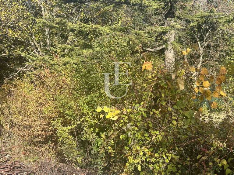 Amazing plot  next to residence for Sale in Boyana 