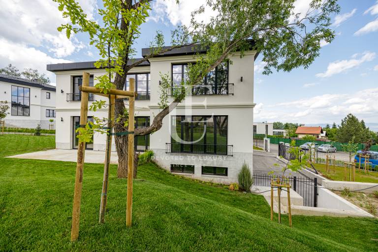 New house in classic style surrounded by gorgeous nature
