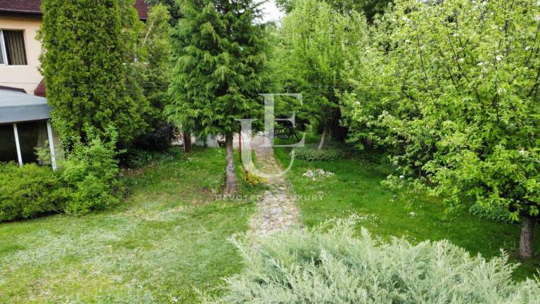 Two spacious houses with large, wonderful yards for rent-Bistrica